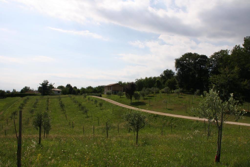 Agriturismo Da Merlo Trivignano Exterior foto